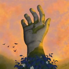 Sola