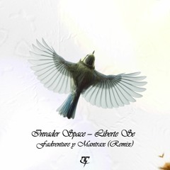 Invader Space - Liberte Se (Fadventure & Mantrax) Remix