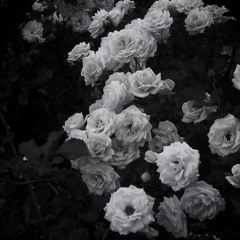 WASTE LOVE (LIAR)