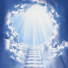 The Afterlife