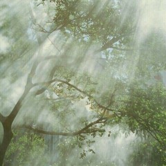 Four Seasons // mix #01