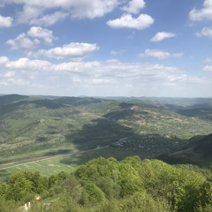 Мс Петя - сила лісу