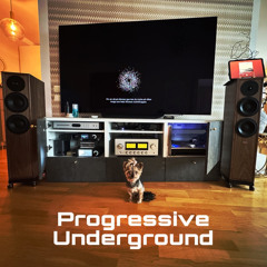 Dani-C - Progressive Underground @ Proton Radio 116 [Jan] 2025 Sc Edition