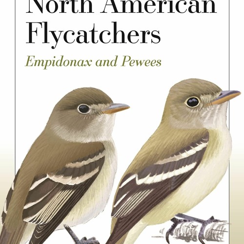 PDF/READ/  Field Guide to North American Flycatchers: Empidonax and Pewe
