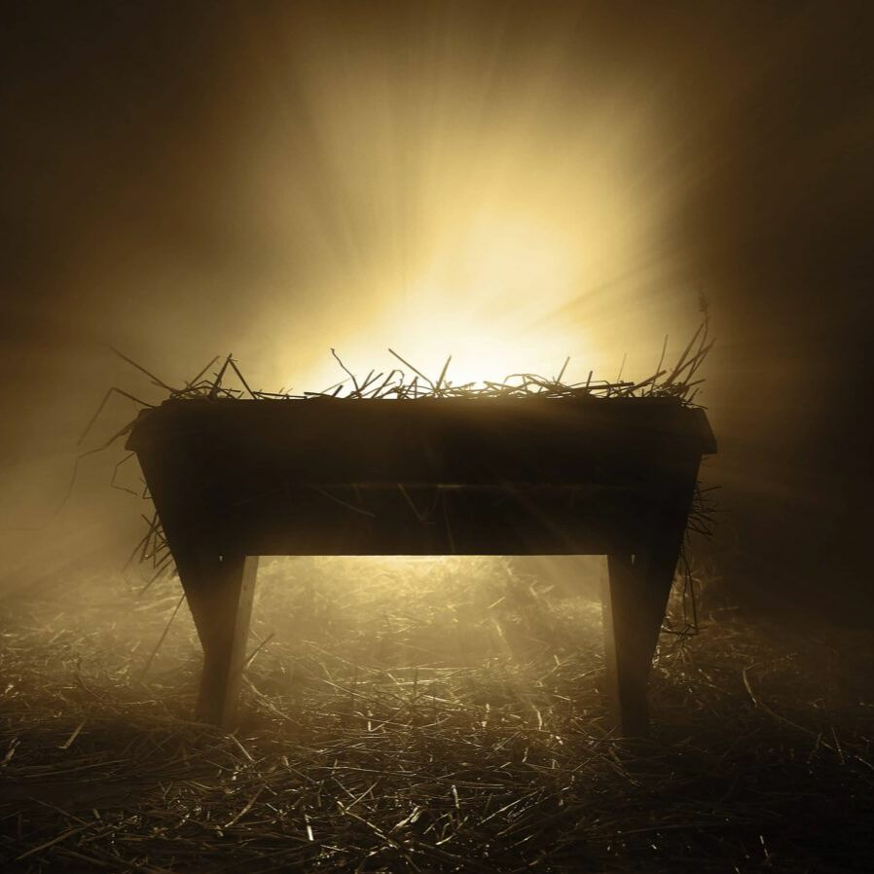 [Emma Payne] We have seen his glory (John 1: 14-18, Exodus 33:12-21) 10.12.23 episode artwork