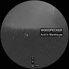 WOODPECKER - Acid In Warehouse [ITU1716]