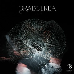 Various Artists - Praeterea 01 [Preview] | FS001
