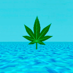 Save Room Breaks // Retro Console Jungle Mix ☘️