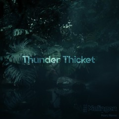 Thunder Thicket (Extended Mix)