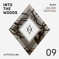 Into The Woods #09 // by Julien Vertigo