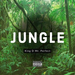 Jungle (Produced by King D Mr. Perfect & Herman)