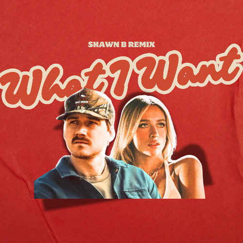 Morgan Wallen & Tate Mcrae - What I Want (SHAWN B Disco Remix)