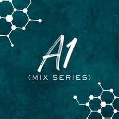 DJ ELEMENTZ PRESENTS THE A1 MIX SERIES