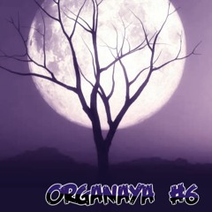 Organaya #6