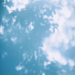 10dollar #2 (dnty kit 3 promo)