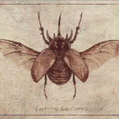 Ad Maiorem Dei Gloriam (Choir)