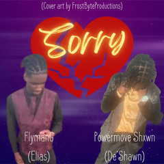 Sorry ft Shawn