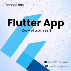 Customer - Oriented Flutter App Development Company - ITechnolabs