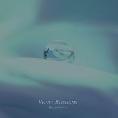 Velvet Blossoms