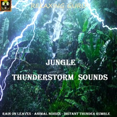 Jungle Thunderstorm Sounds with Rain On Leaves, Animal Noises and Distant Thunder Rumble
