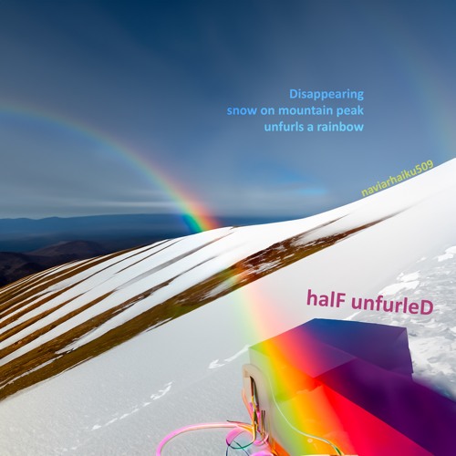 halF unfurleD [naviarhaiku509]