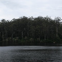 Karri