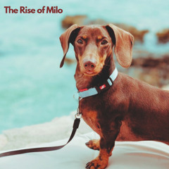 The Rise Of Milo
