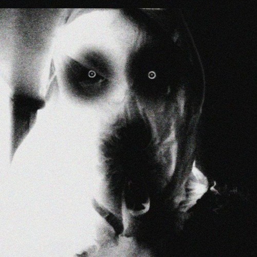 LIVID DARK LIFE (FREE TRIPLE)