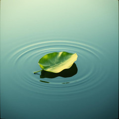 A Leaf of Hope (Daun Harapan) Bahasa Indonesia