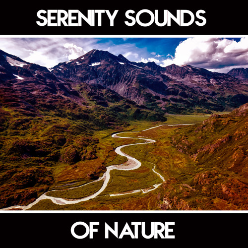 Stream Water Sounds by Rainfall | Listen online for free on SoundCloud