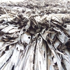 Recollection Nov ONE Meditation 2 Working For Love