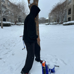 snow bae