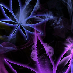 In the Groove