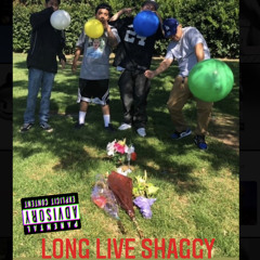 LLSHAGGY- CHUBS