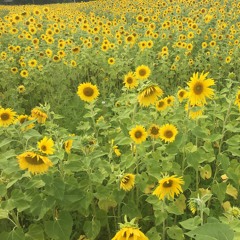 i t s             o k.