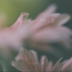 大きな大きなハンバーグ - 色々な十字架