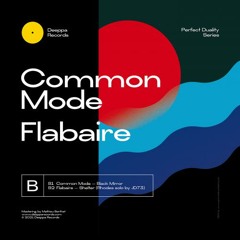 Common Mode - Black Mirror