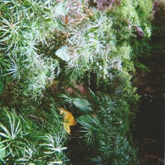 I'm Still Afraid Of The Dark