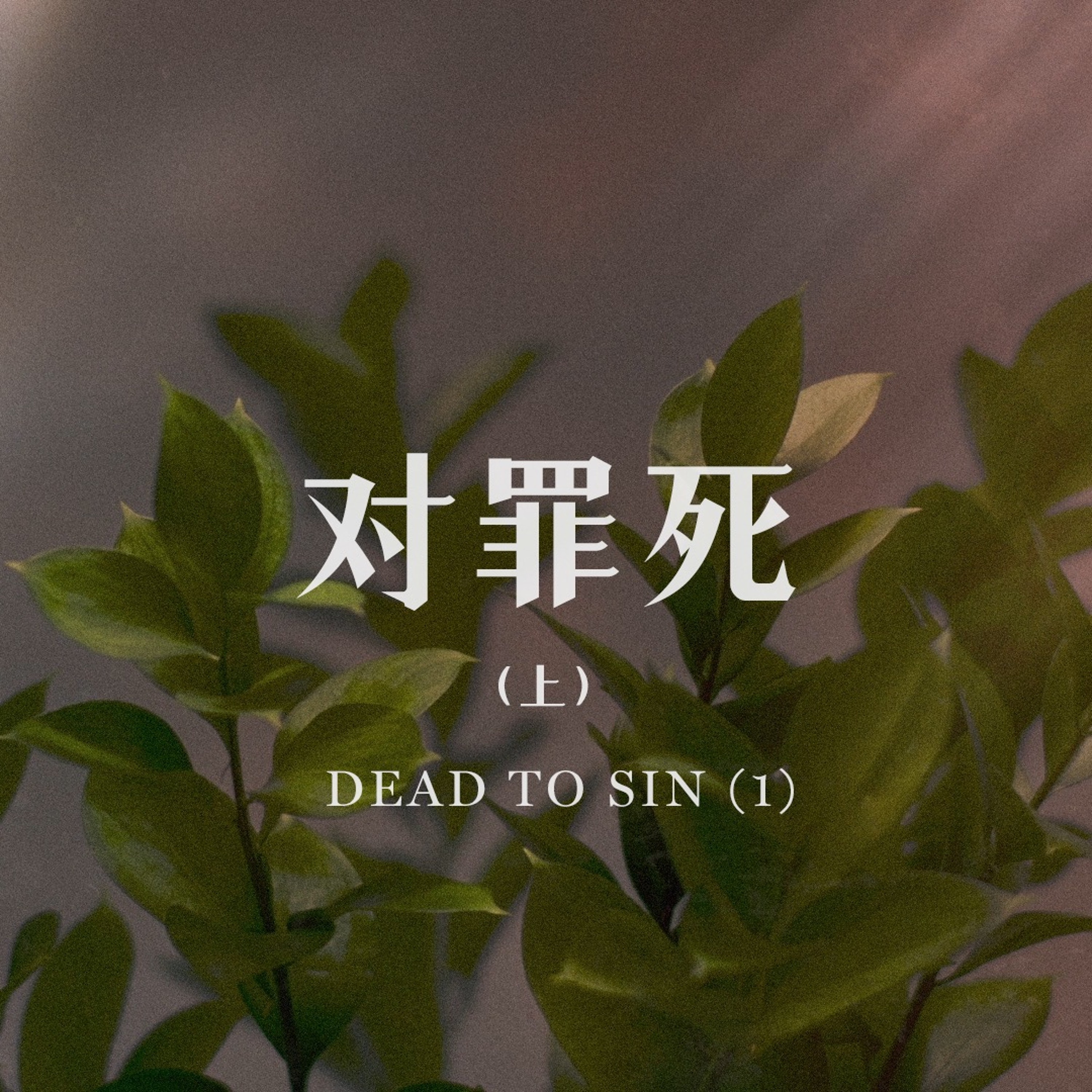 04/07/2024 【罗马书】对罪死（上）（罗 6:1-14）——王唯权 牧师 episode artwork