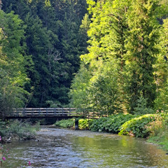 River Vils in the German Alps (Allgäu)