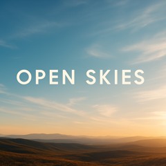 Open Skies .mp3