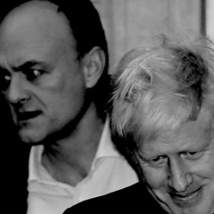 I Hate The Government