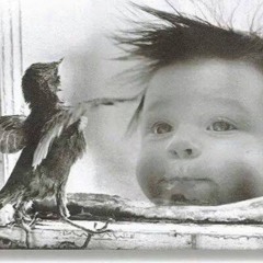 Gestatin' Restless Waitin' Prenatal Blues