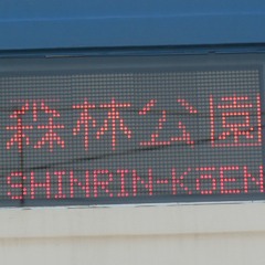 森林公園