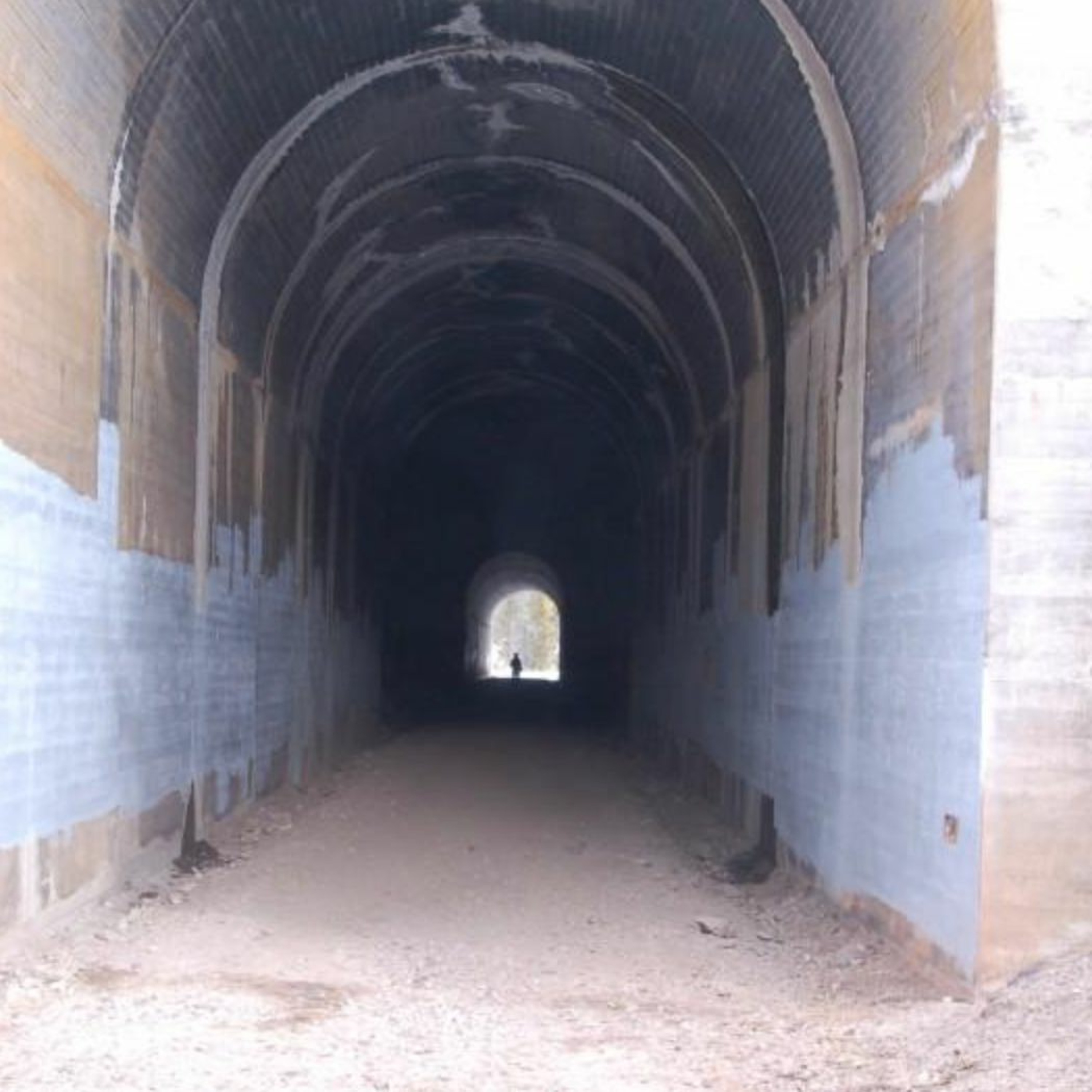 Trail of the Week