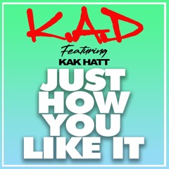 Just How You Like It (Main Houdini Edit)