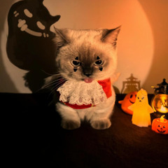 teenharp and putrid i think - dj shuffle prod dolba