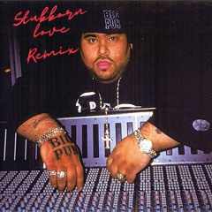Big Pun - Still Not A Player(Stubborn Love Remix)