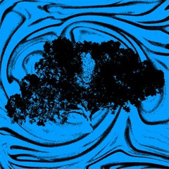 Agora & Earthnut - Green Fields ENVE