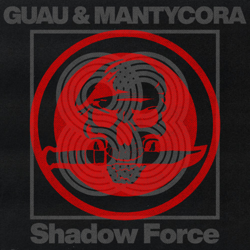 Shadow Force